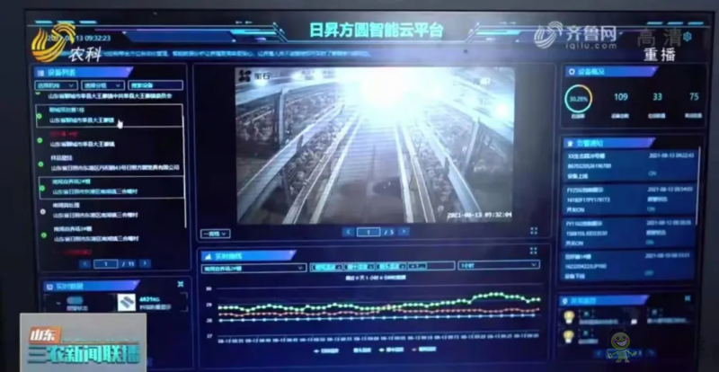 山東日照： 智慧養殖新模式 36萬只肉雞養殖不犯難