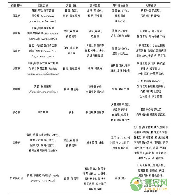 十字花科蔬菜常見病蟲害及生物防治技術(shù)