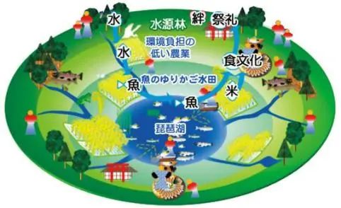 日本滋賀縣琵琶湖地區(qū)林—田—湖農漁系統